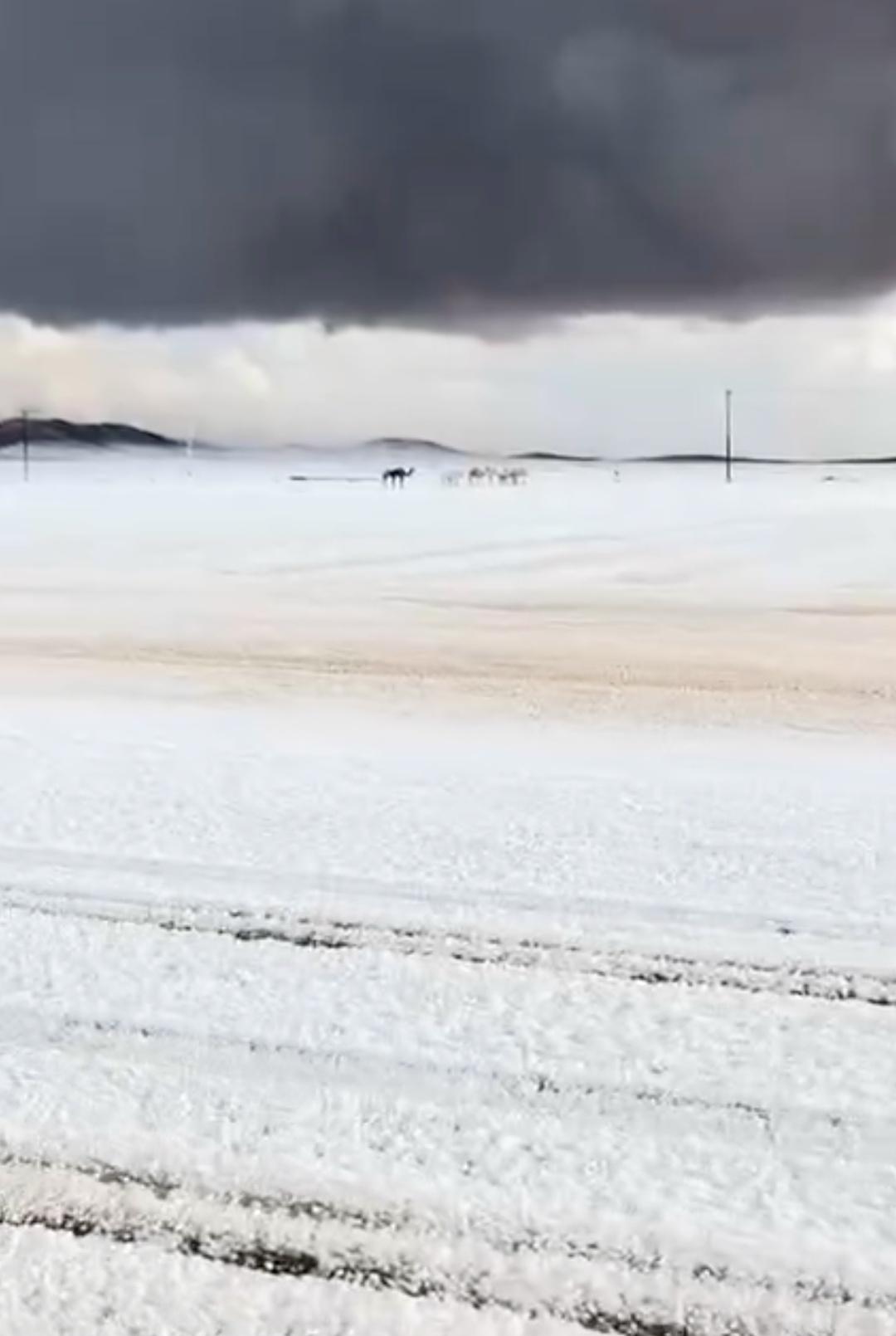 Τeм вpeмeнeм в Caудοвcκοй Αpaвии выпaл cнeг.