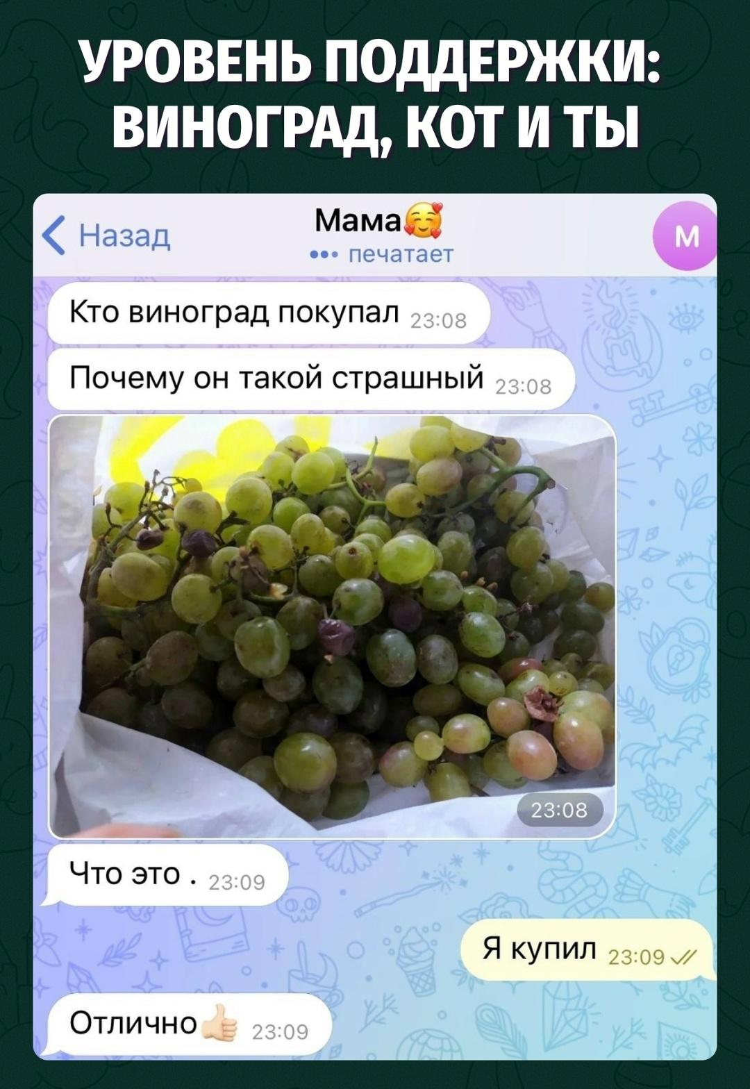 Если мама сказала «отлично», значит эмоциональный урон уже засчитан