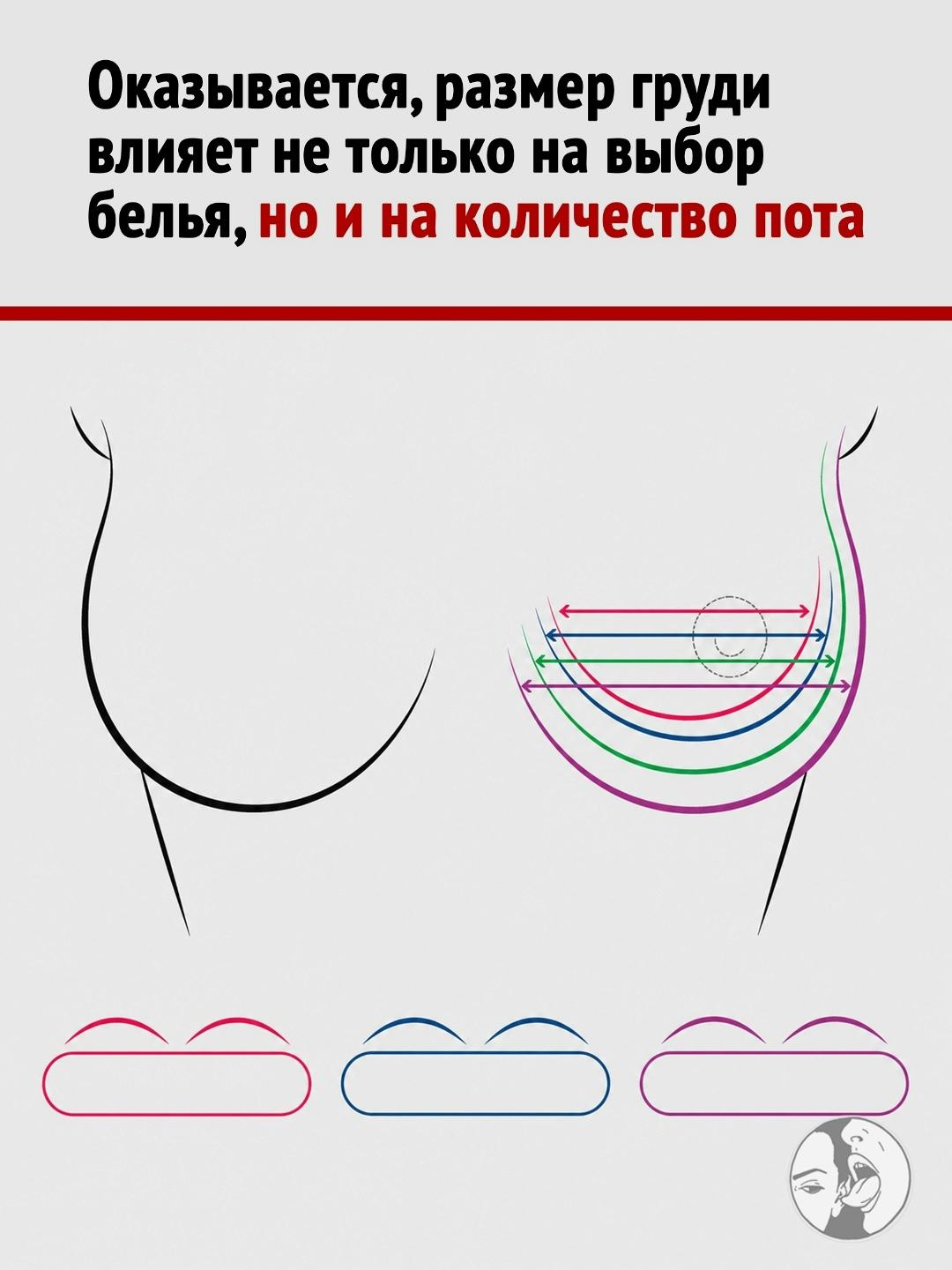 Учёные наконец-то закрыли важный вопрос.