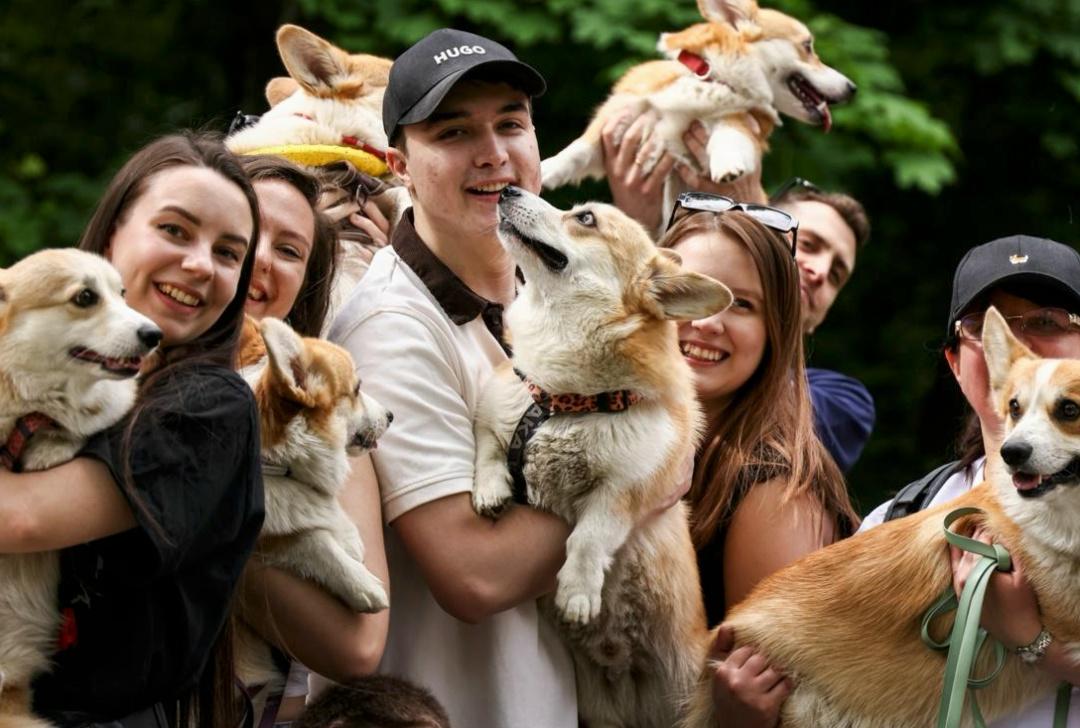 Парад корги прошёл в Москве — тысячи сладких булочек пришли на фотосессию в ярких и необычных нарядах.