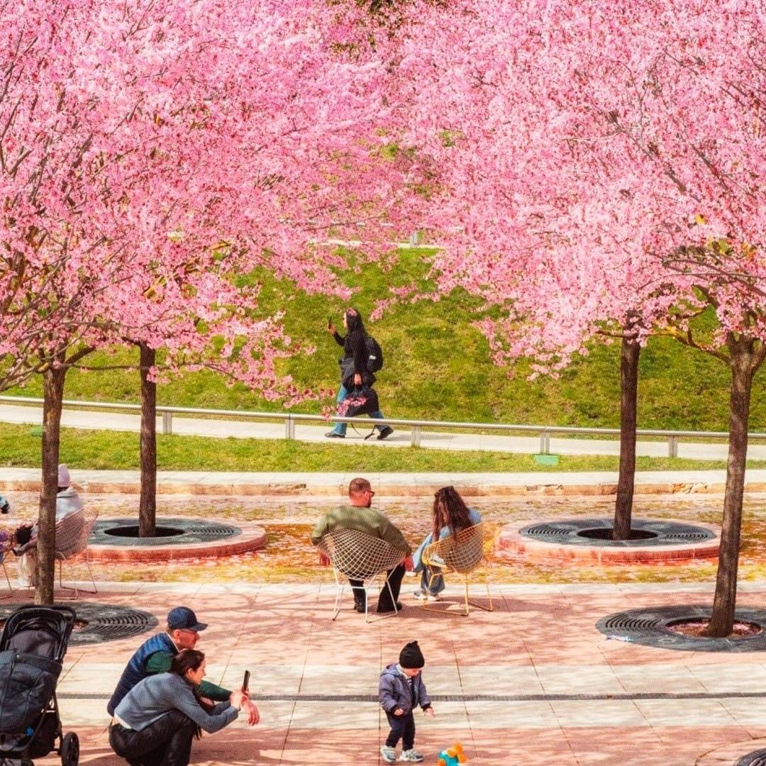 Волшебство пришло в Краснодар: парк Галицкого на мгновение превратился в ожившее аниме!