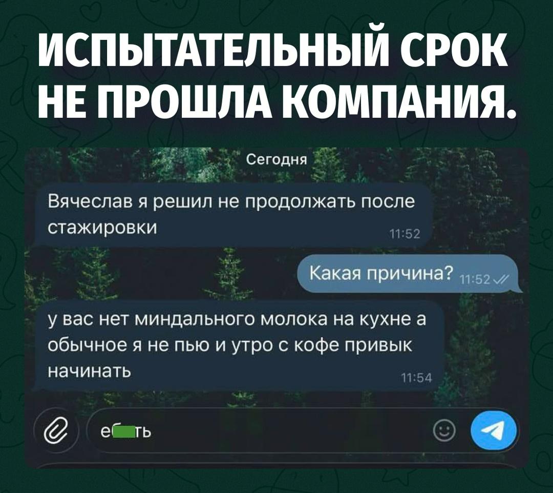 Офис оказался недостаточно растительным для его амбиций