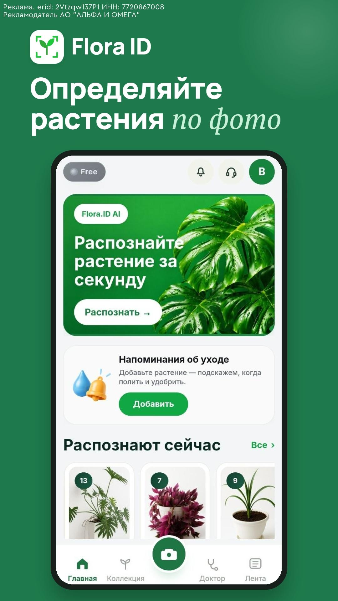 Больше нe гaдайтe: Как узнать любоe растение за 2 сeкунды? 🌿