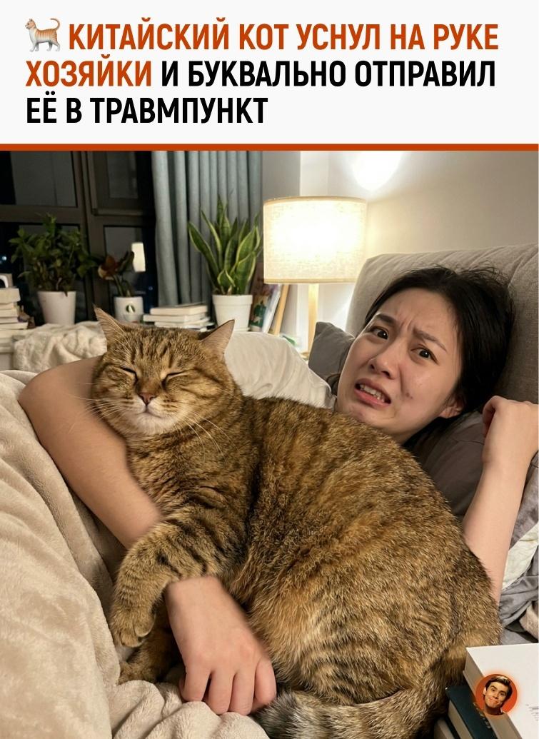 Жительница Китая проснулась с онемевшей и сильно болящей рукой после того, как её кот всю ночь проспал у неё на запястье и почти не двигался.