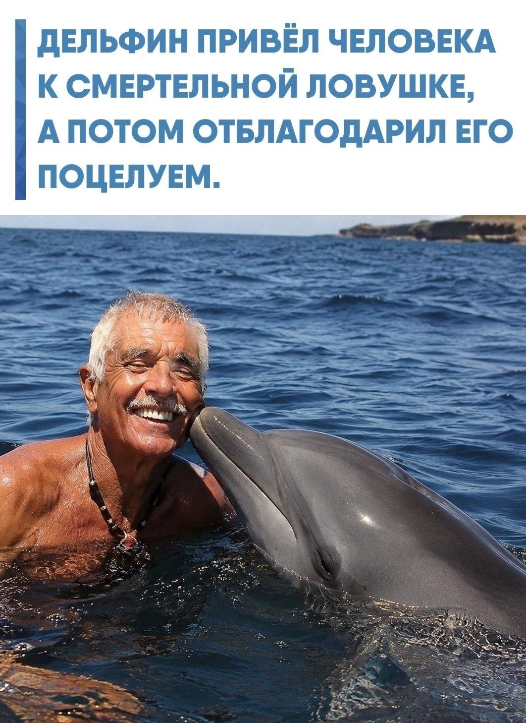 Энцо Майорка, один из самых известных итальянских дайверов, погружался у берегов Сиракуз, когда почувствовал лёгкий толчок в спину