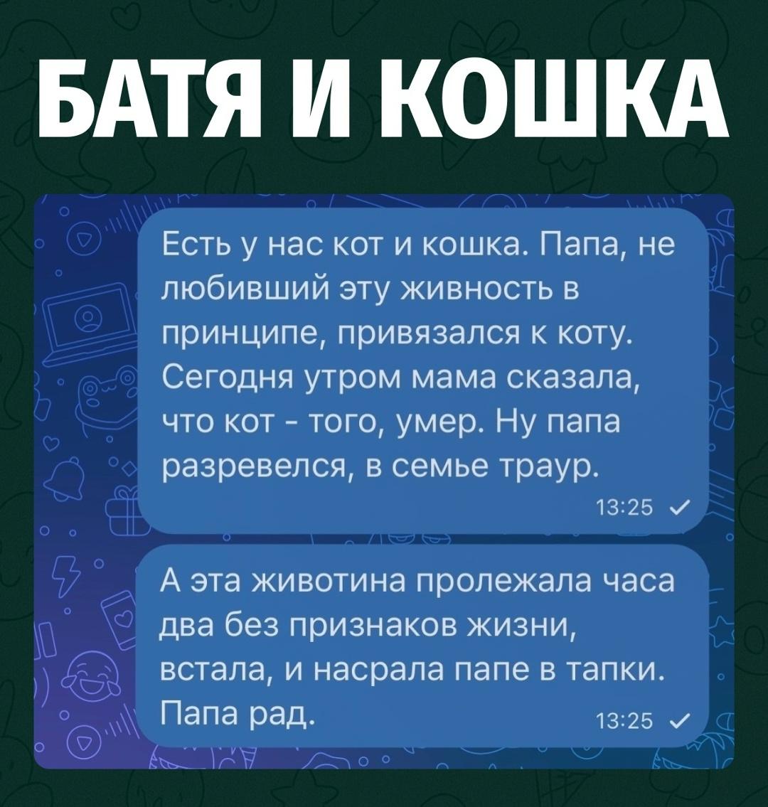 В семье решили, что кот умер: отец, который обычно не любил домашних животных, внезапно растрогался и уже почти ушёл в траур.