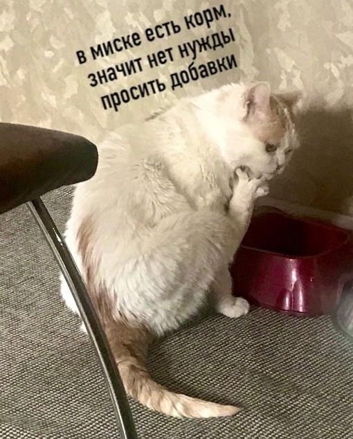 Истинное затруднение