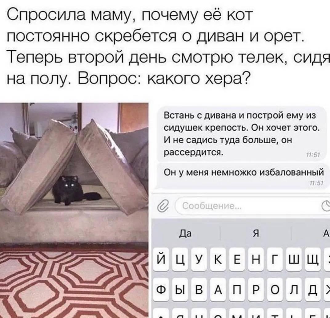 Сразу видно кто в доме главный