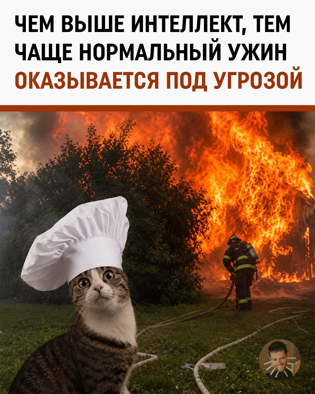 Гении плохо готовят. Психологи наконец-то объяснили этот феномен