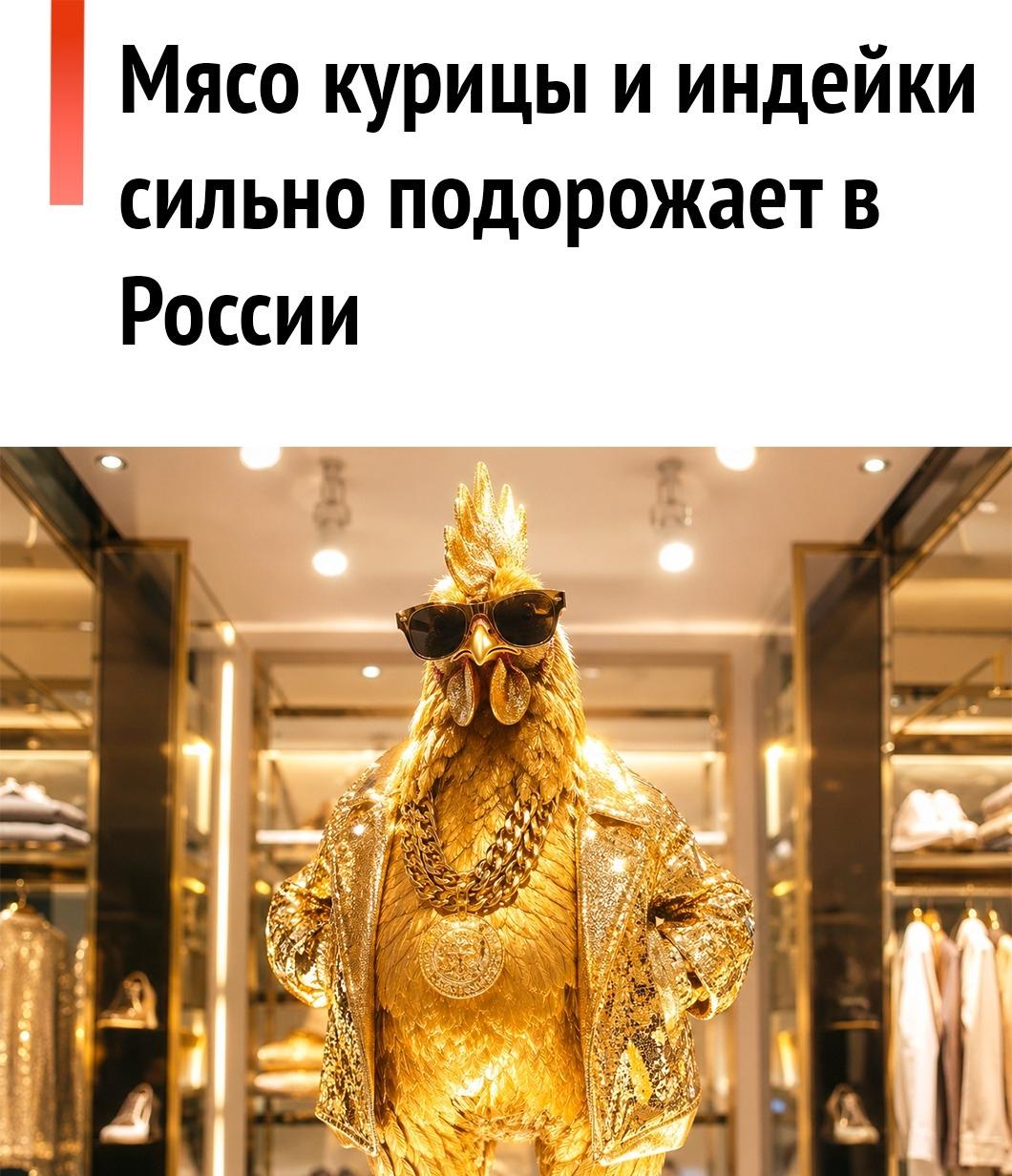 ❗ Производители соощают о серьёзном кризисе, из-за которого цены на птицу улетят в космос.