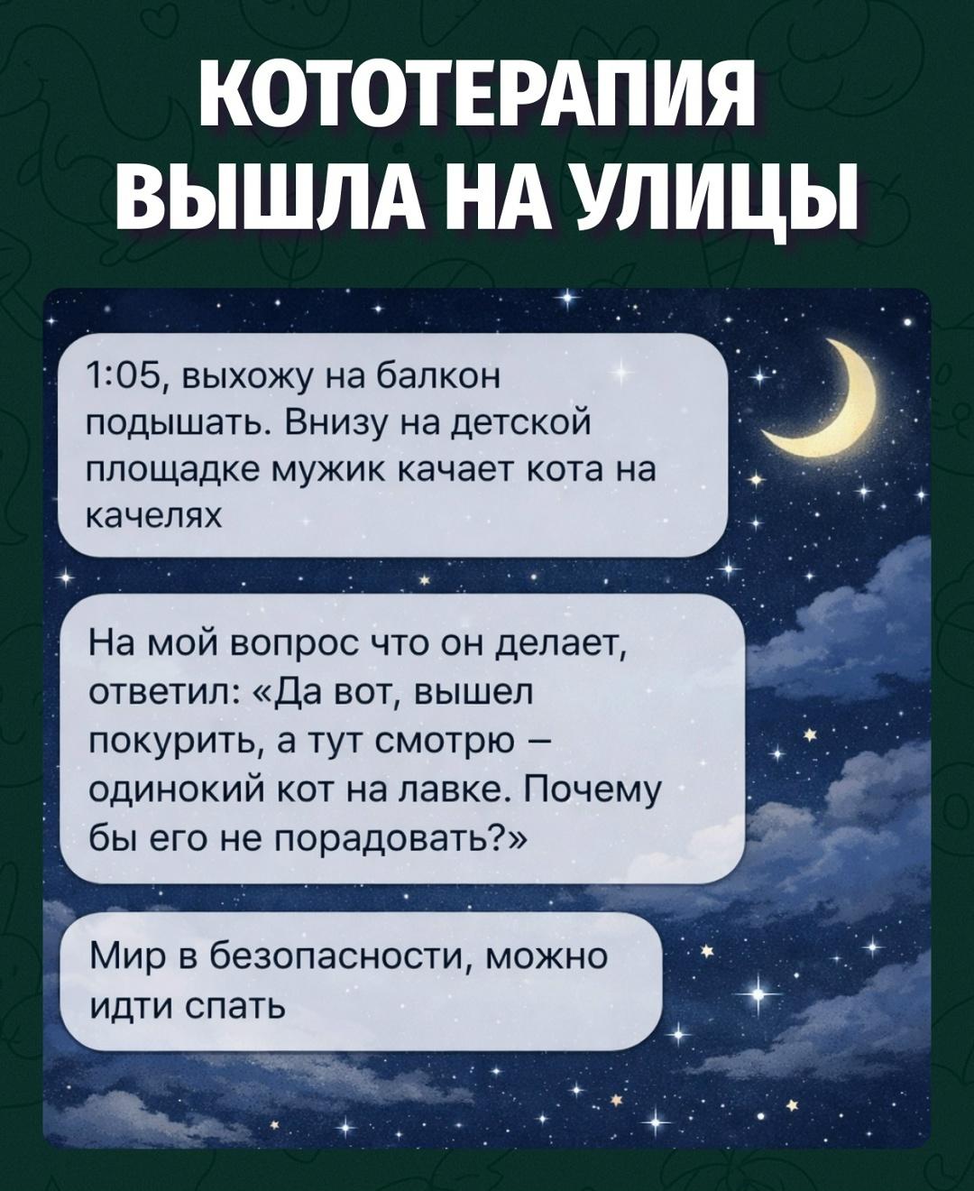Пока одни тревожатся за мир, другие качают кота на качелях в два часа ночи