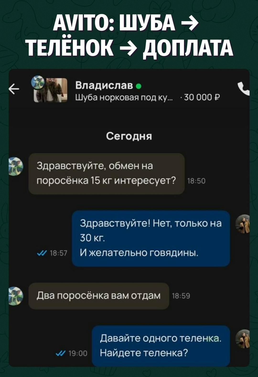 Девушка выставила норковую шубу за 30 тысяч, а в личку пришёл фермер с бартером — сначала предложил поросёнка на 15 кг, потом двух.