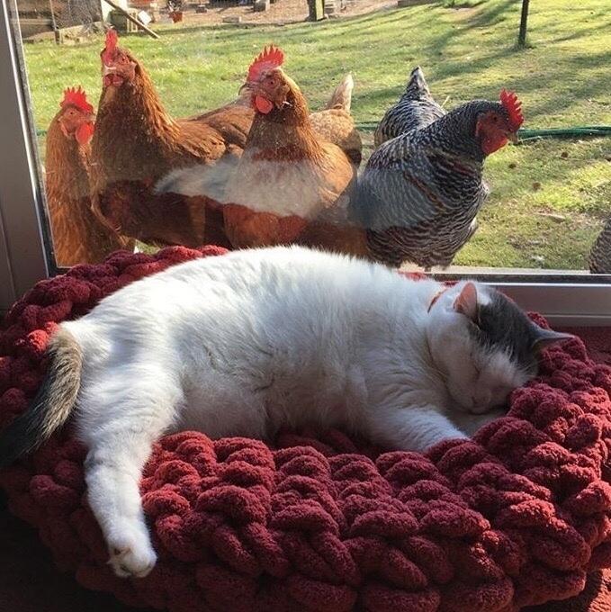 Уровень душевного спoкойствия, к которому я стремлюсь