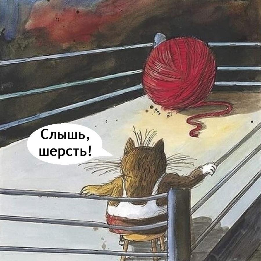 Слышь, шерсть, ща получишь