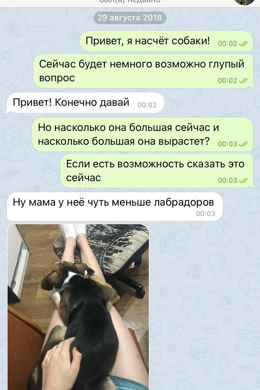 Приятная покупка