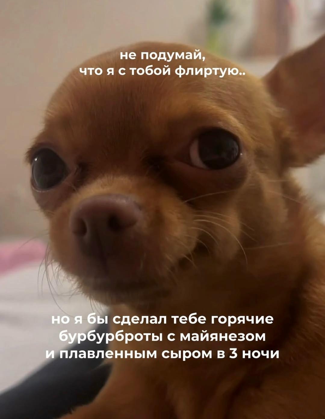 Главное найти такого человека