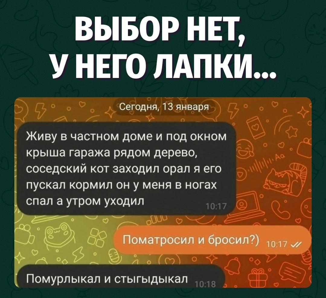 Он не бросил — у него график