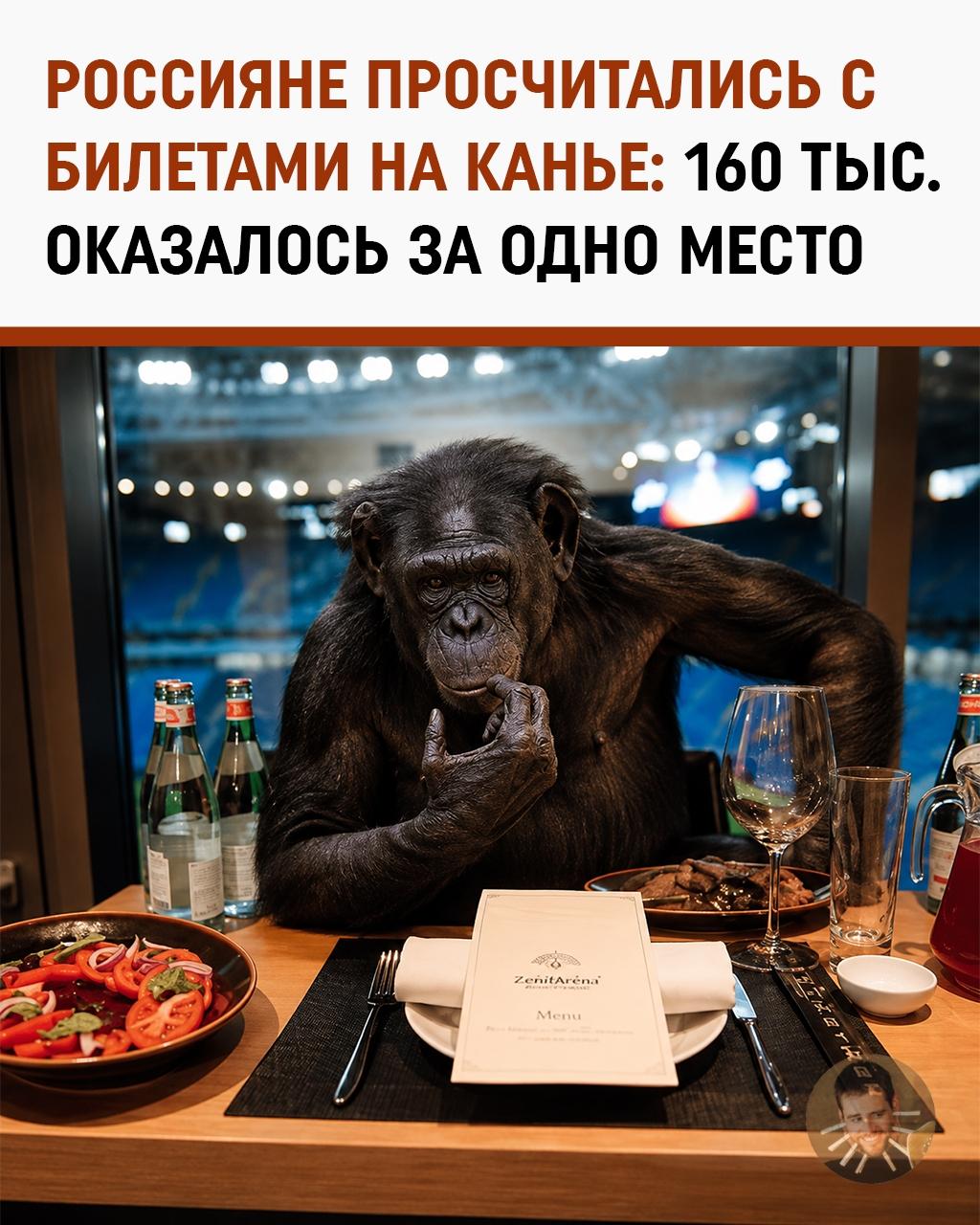 Когда скидка на компанию оказалась скидкой на одного