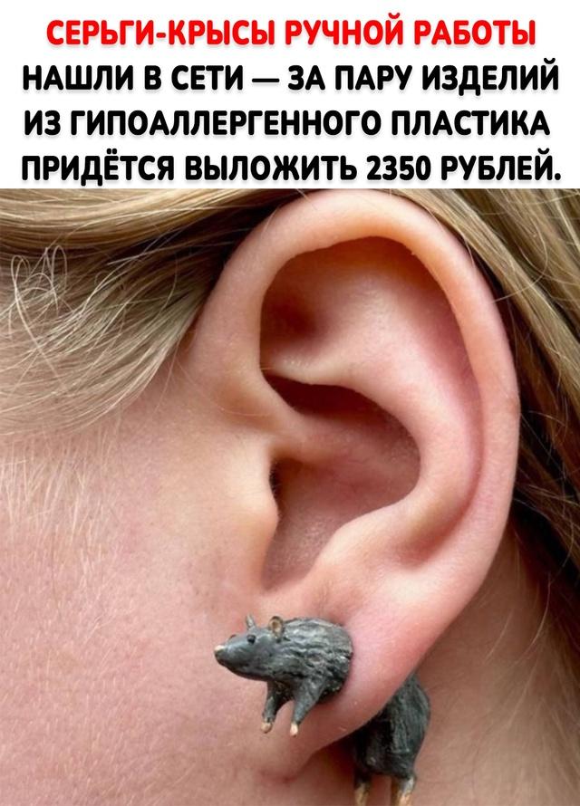 Серьги просто чума&#128561;