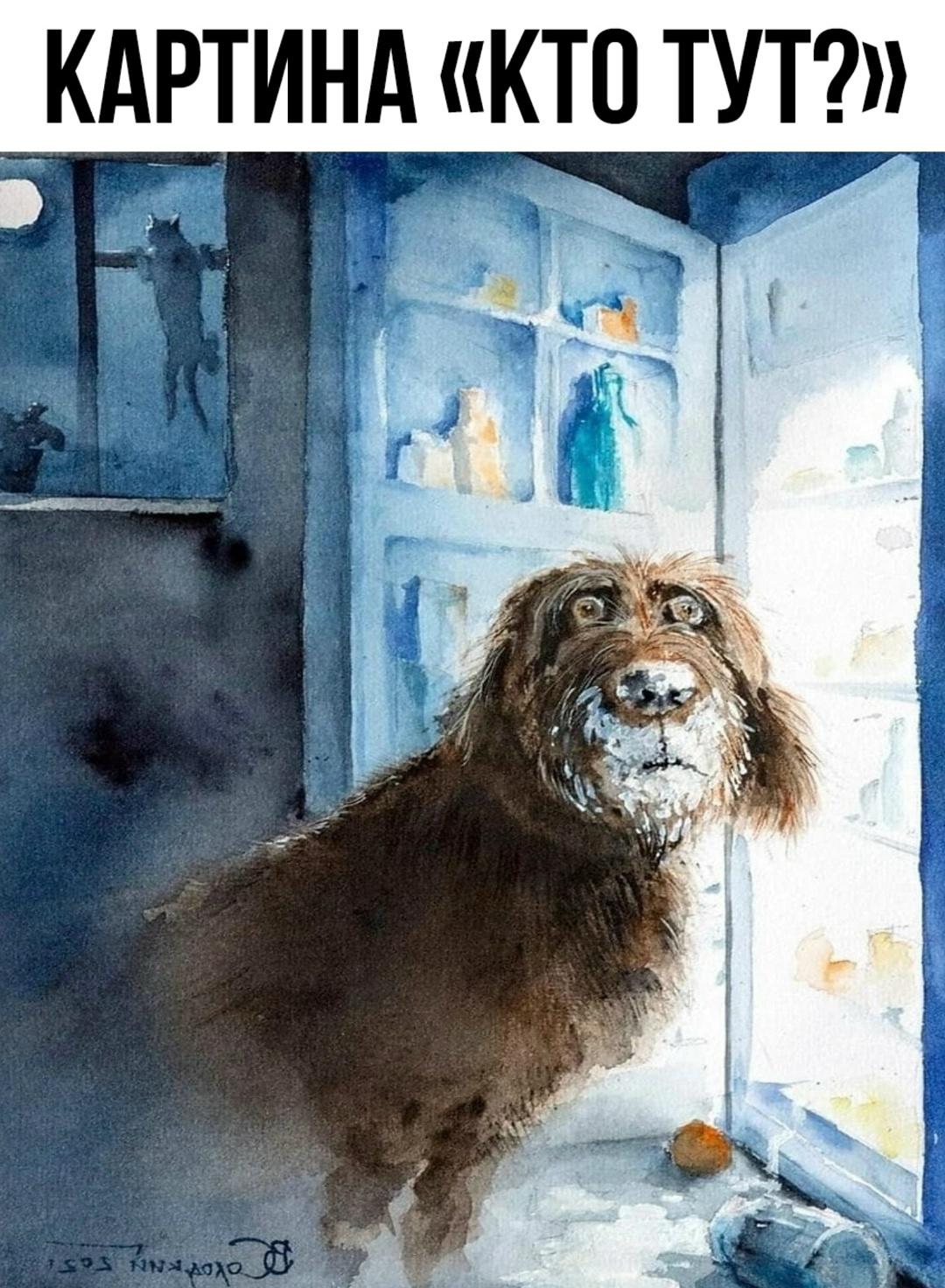 Это я каждую ночь