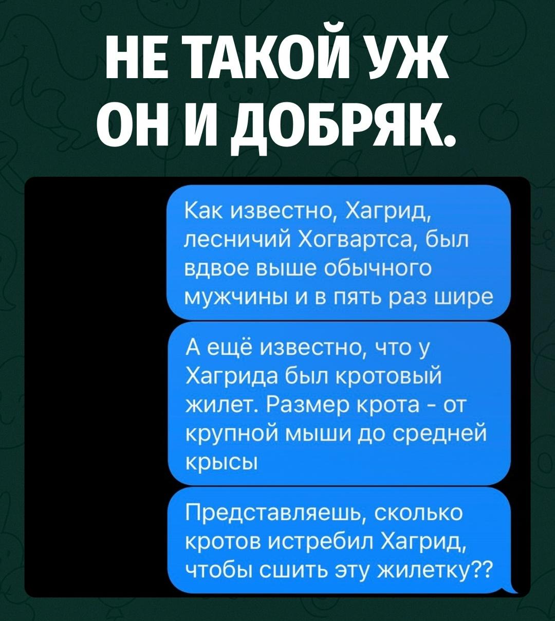 В сети внезапно задумались, сколько кротов пришлось пустить на жилетку Хагрида.