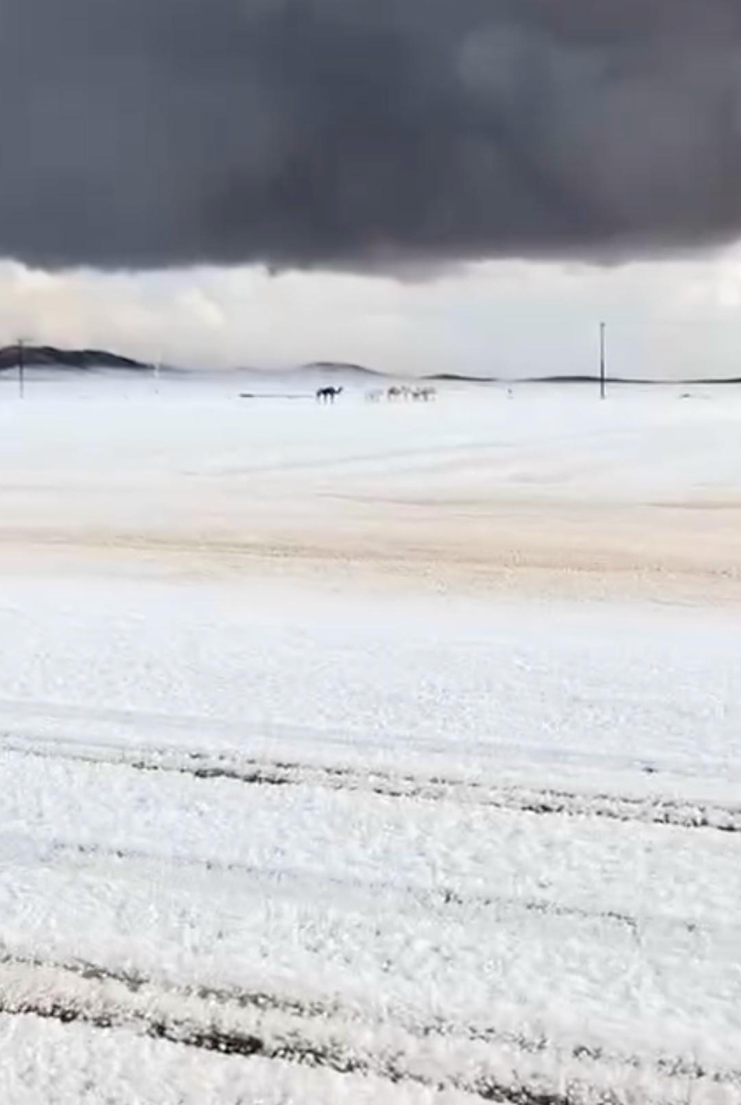 Тем временем в Саудовской Аравии выпал снег