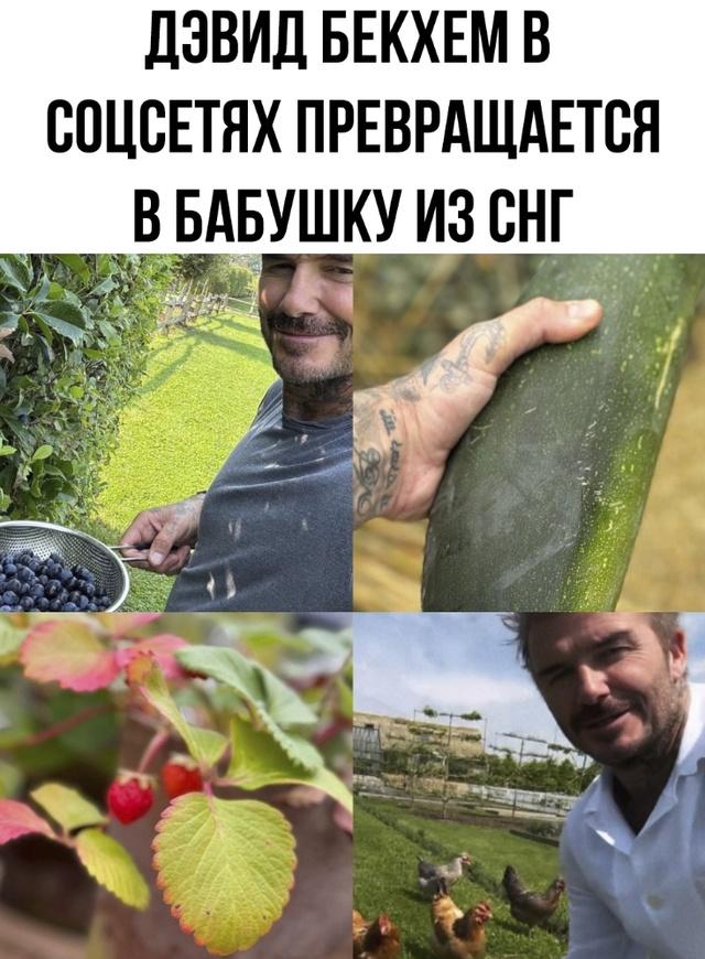 Ну все, вот и пенсия настала