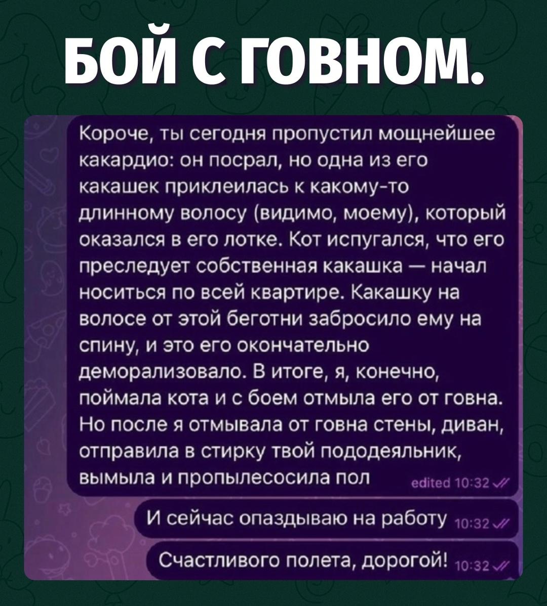 Утро удалось: кот обосрался, квартира — тоже, а на работу опоздала ты