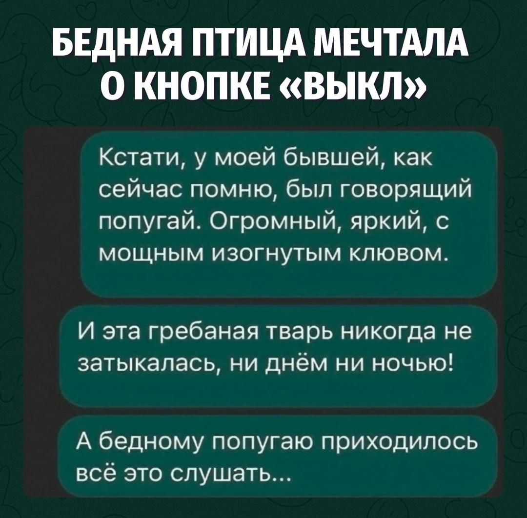 Самый молчаливый в квартире оказался попугай