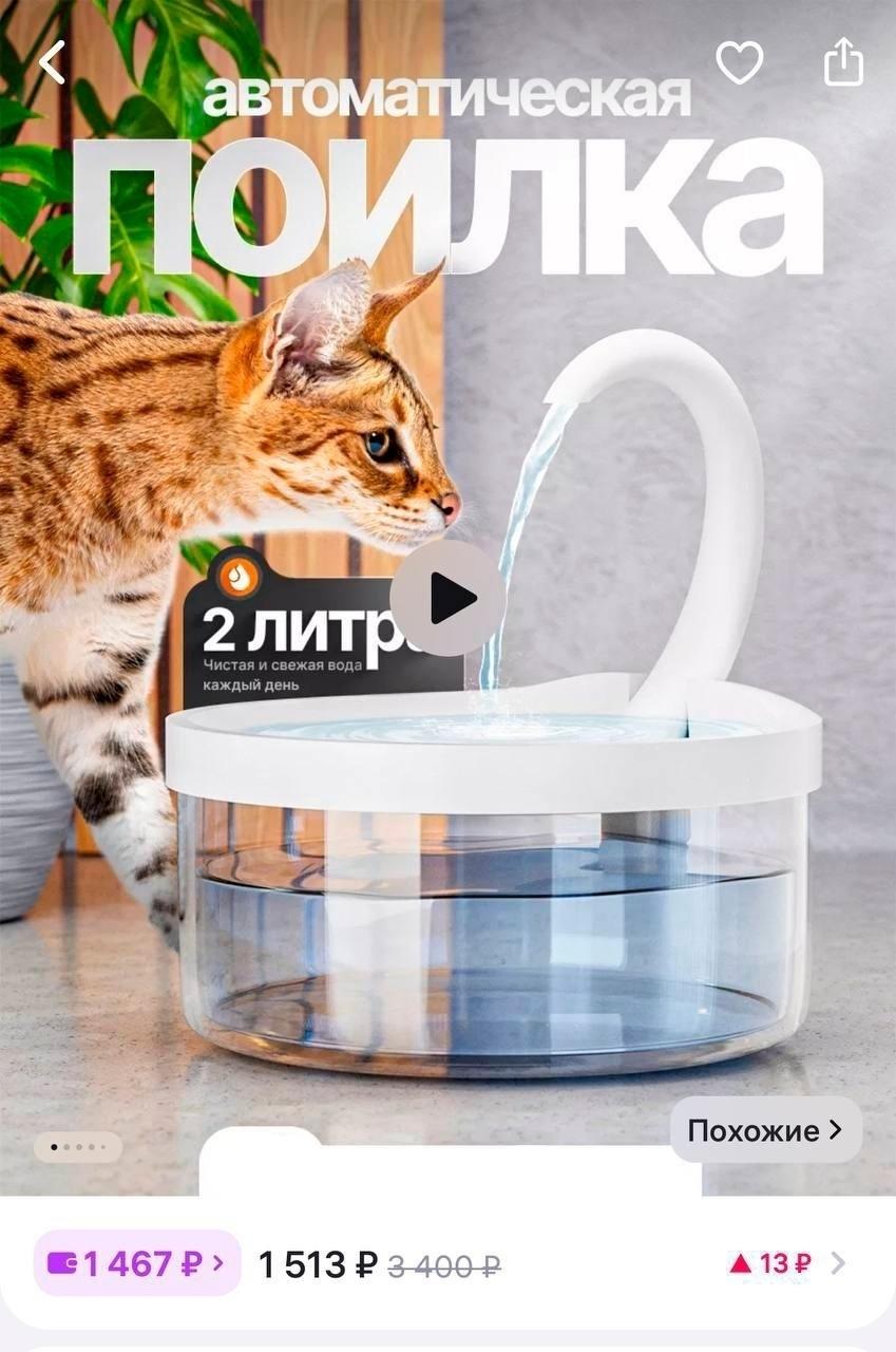 Мужчина заказал на онлайн-платформе автоматическую поилку для своего кота. В ней помещалось два литра жидкости, а также была встроена система очистки воды.