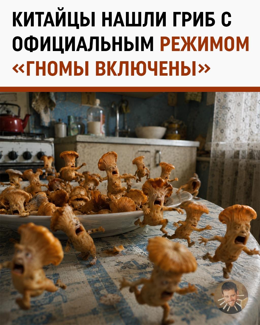 Супчик с сюрпризом: в Китае налегают на грибы, от которых массово мерещатся гномы