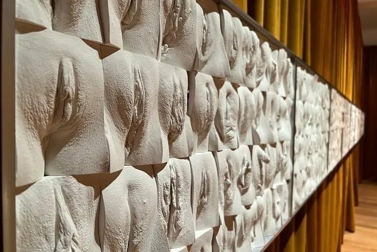 Великая стена вульвы😇