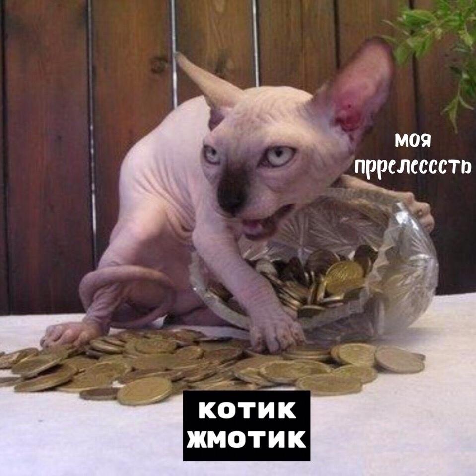 Каждый из нас по-своему котик