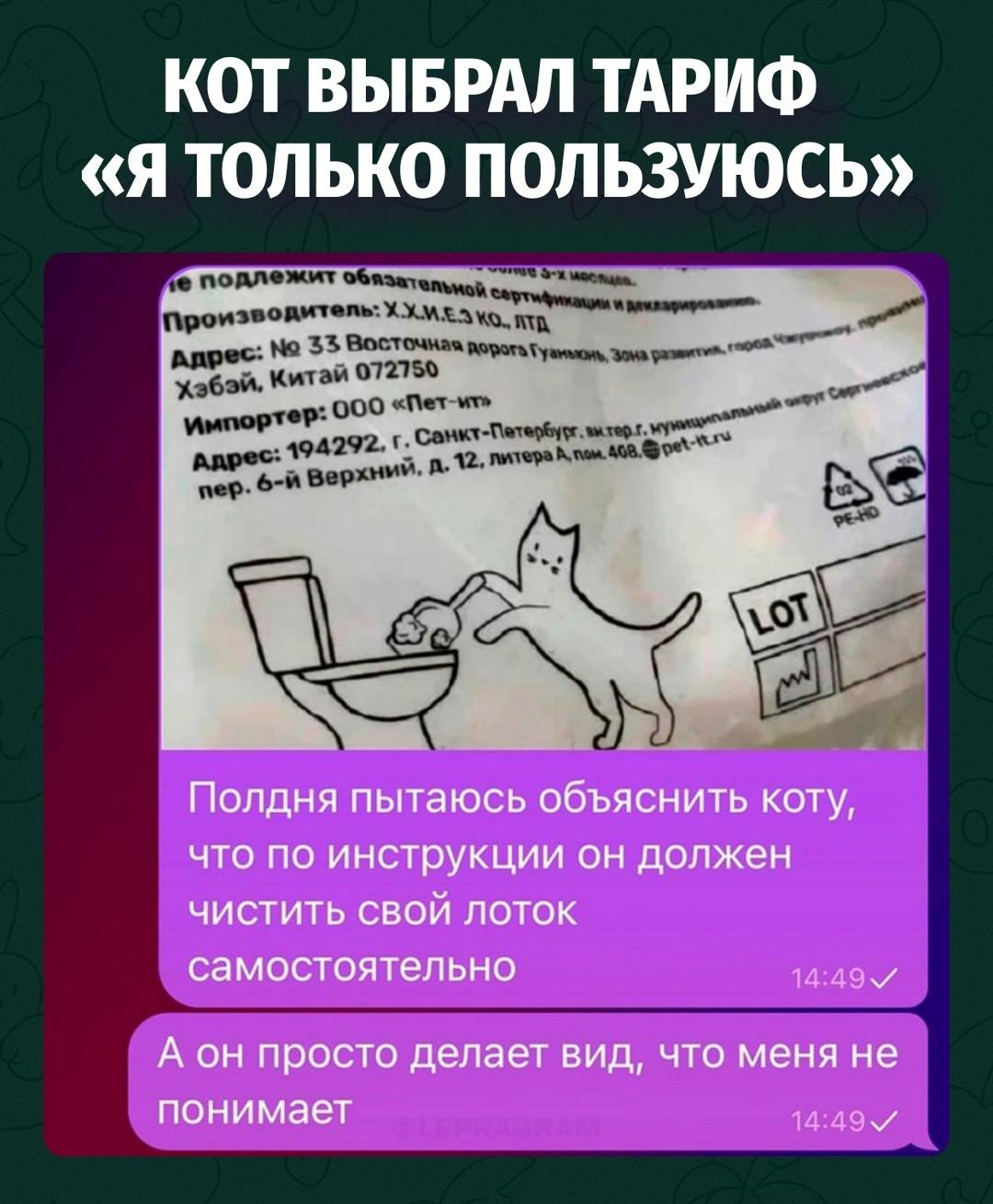 У него на лице написано: «рисунок — это ваши фантазии»