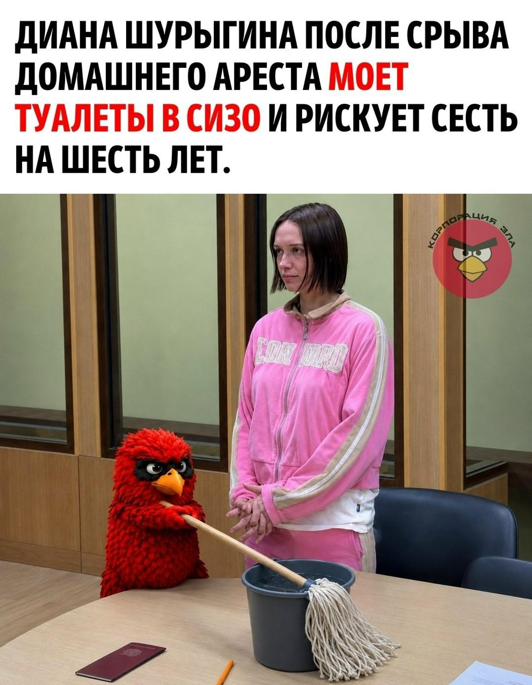 После нарушения запрета суда на использование телефона Диану Шурыгину отправили в СИЗО «Печатники»