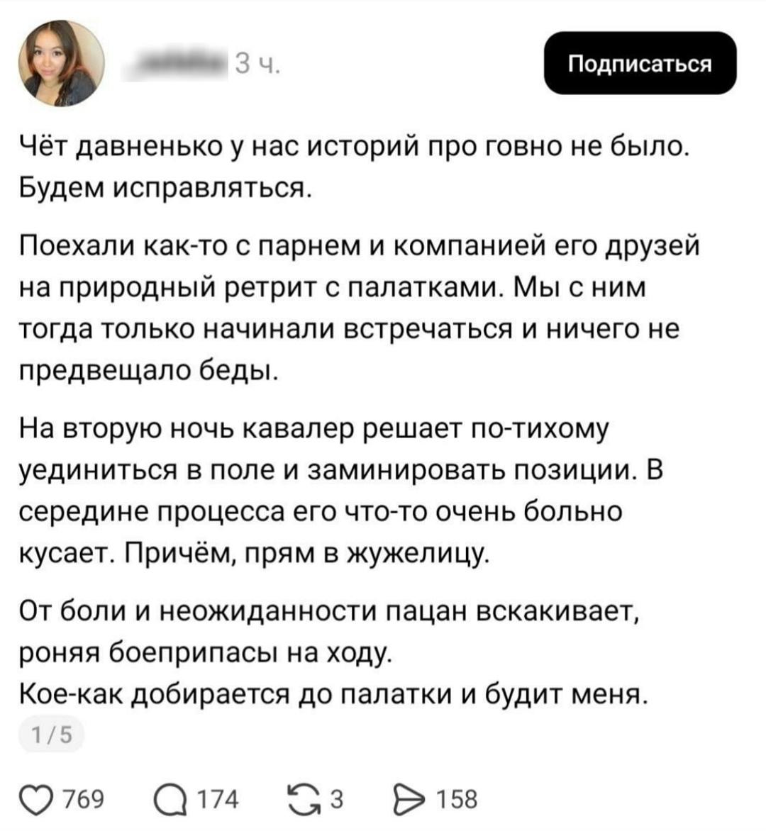 «Неистовый запах говна повсюду и рыдающий парень»: девушка рассказала историю о том, как её парень попытался посрать в лесу, но потерпел фиаско