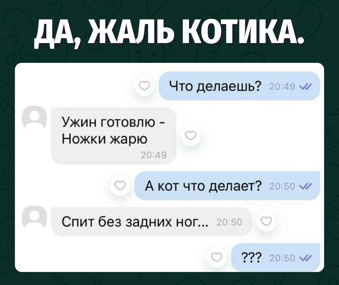 Теперь понятно, почему кот молчит