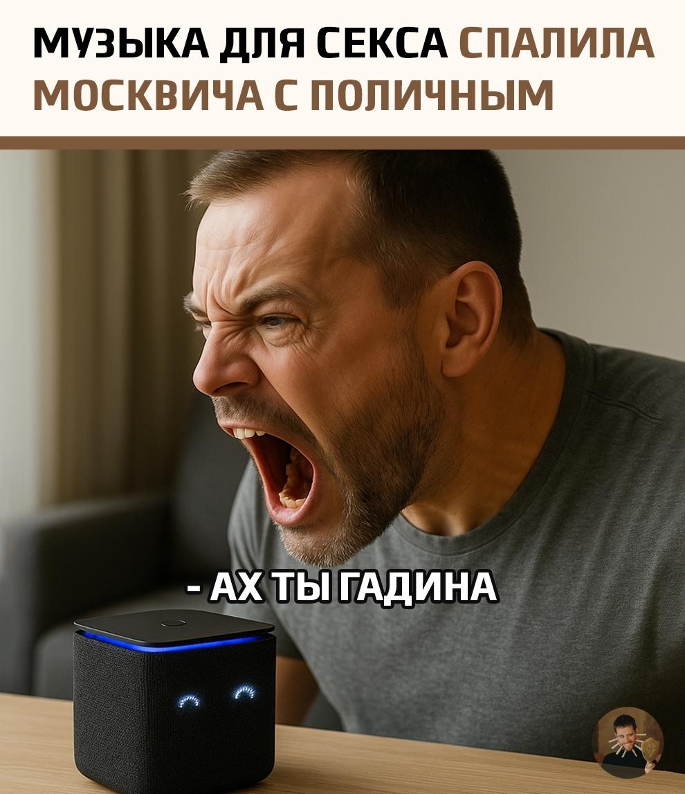 Москвич поехал к любовнице, чтобы создать «атмосферу», и попросил голосового помощника включить подходящую музыку.