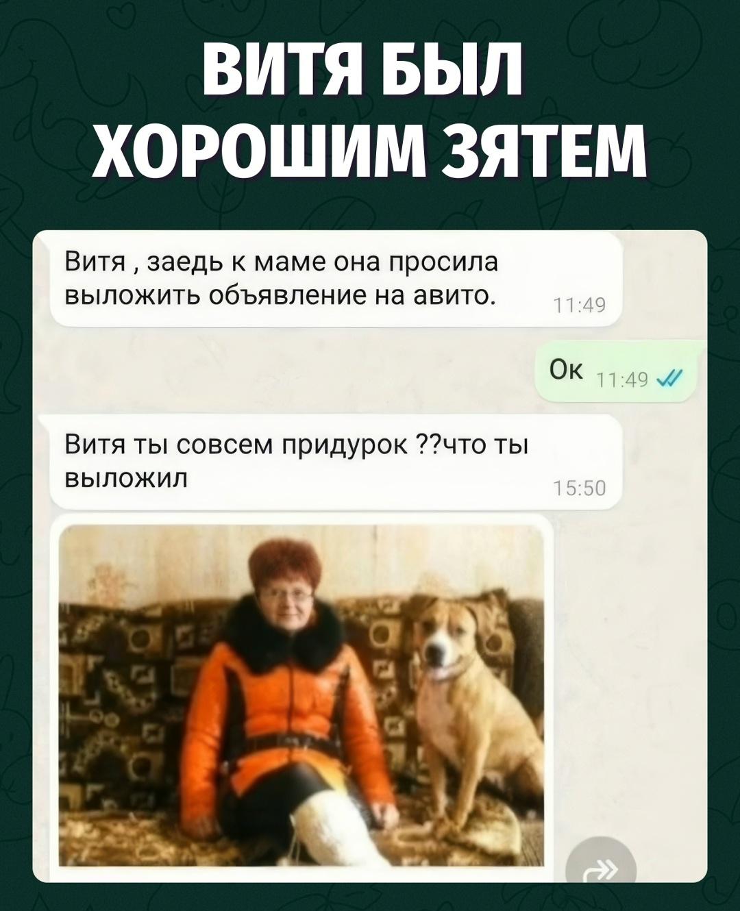 Ищут кобеля для вязки, а взгляд падает совсем не на пса
