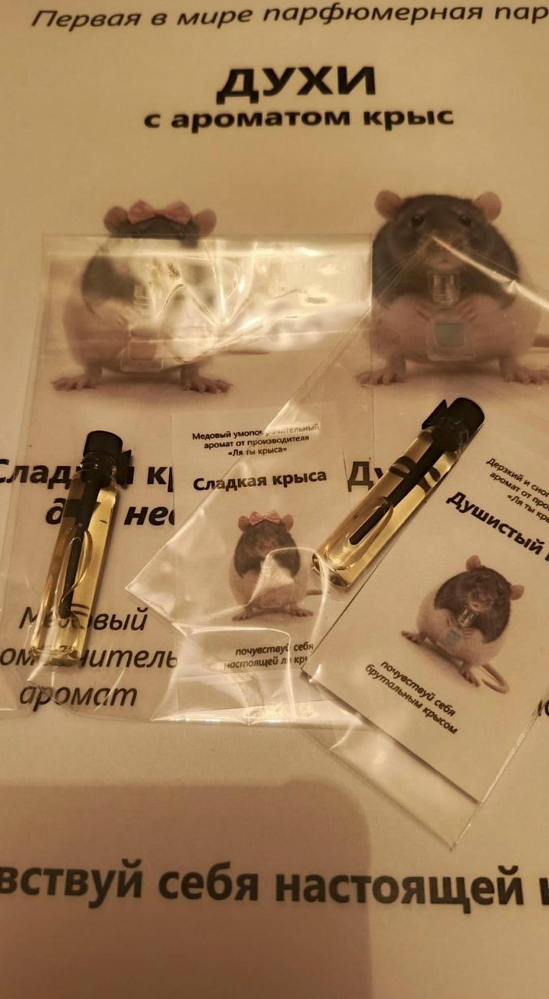 В российские магазины завезли духи с ароматом крысы.