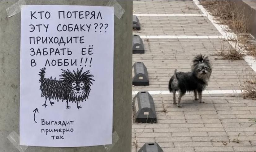 Фотографическое сходство