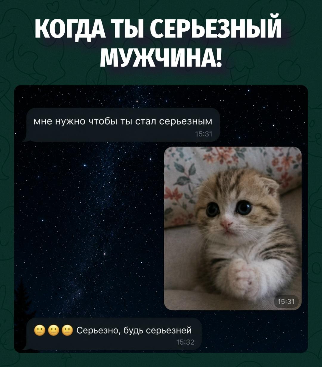 Это максимум серьёзности, который можно выжать из мужика
