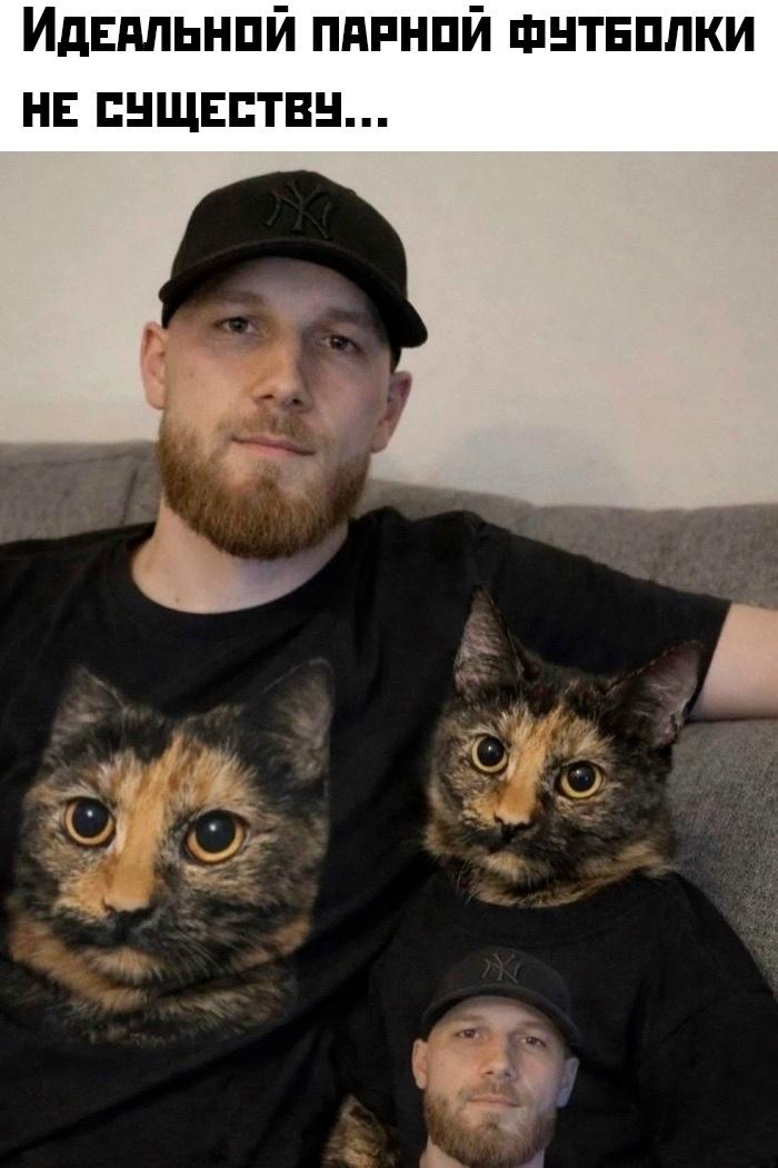 Кошатники, такое вам надо