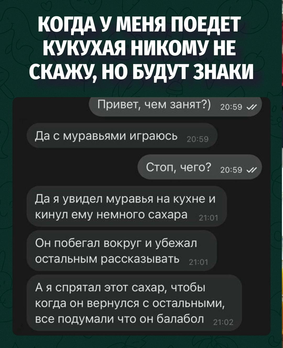 Брат просто газлайтит насекомых от скуки