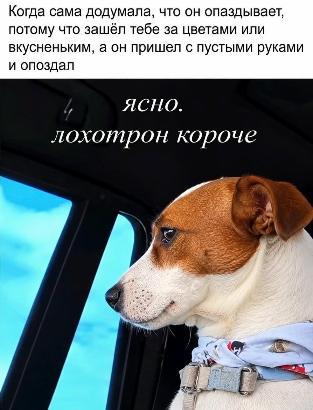 Вот блин