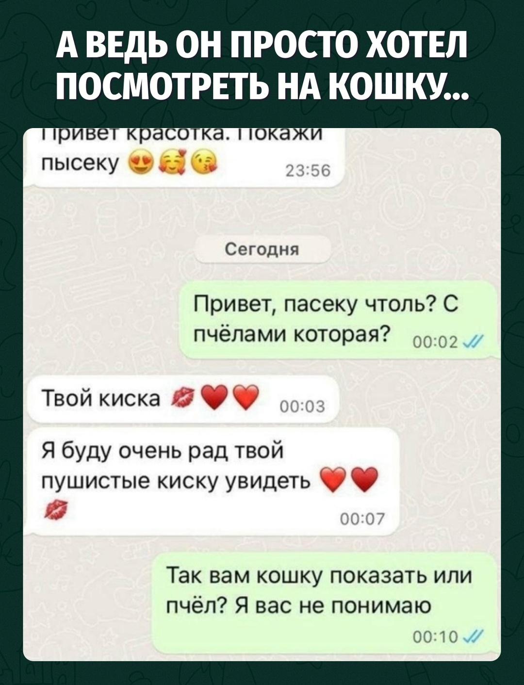 Хотел киску — получил пасеку, мед вместо свидания и улей в блок