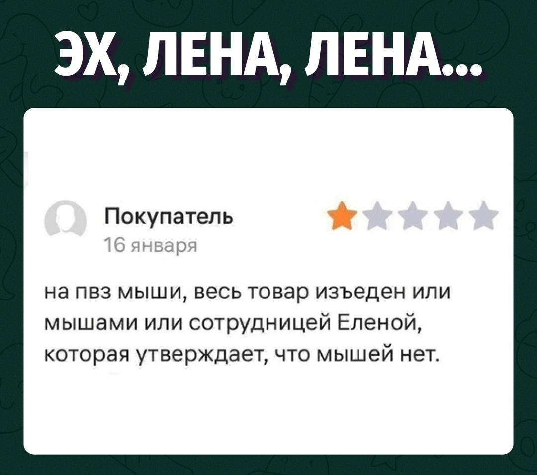 Мышей нет, зато есть подозреваемая