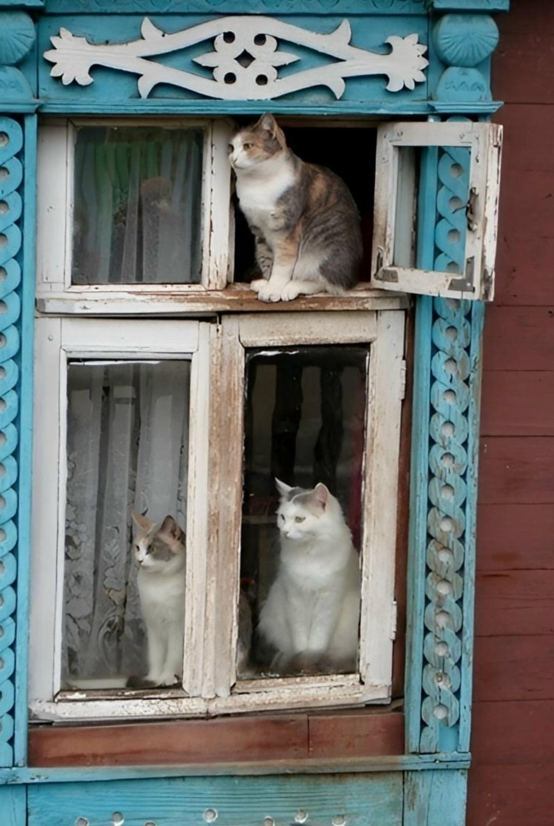 Где-то в деревнях