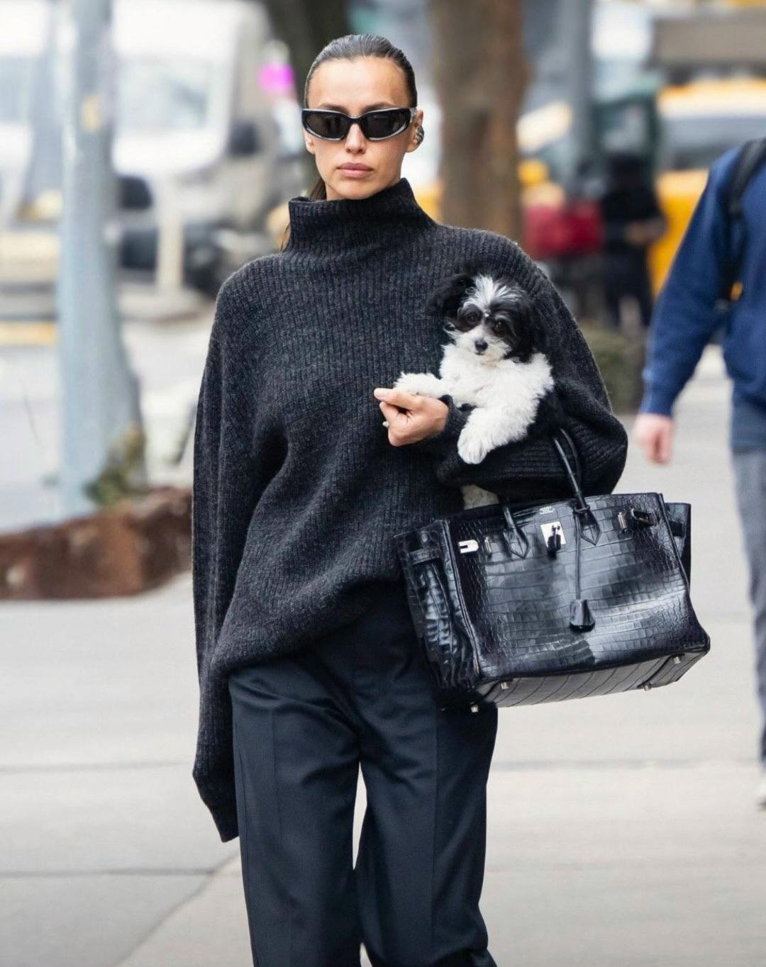 Ирина Шейк завела новую собачку ❤🐶