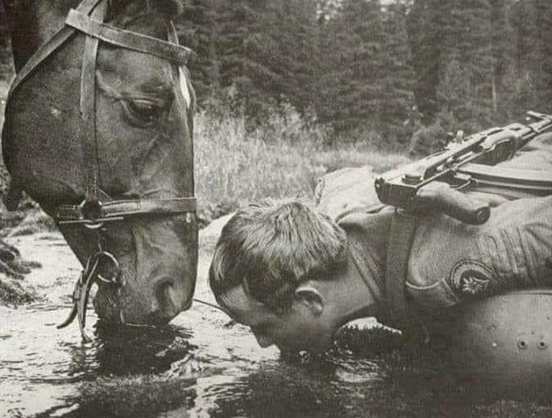 Пить там, где пьет конь. Конь не станет пить плохую воду.
